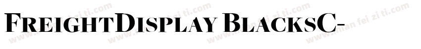 FreightDisplay BlacksC字体转换
